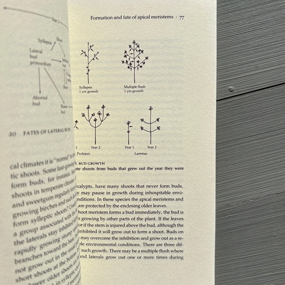 1984 The Growing Tree Forestry Student Tree Arborist Woods Forest Biology Nature - Picture 2 of 8